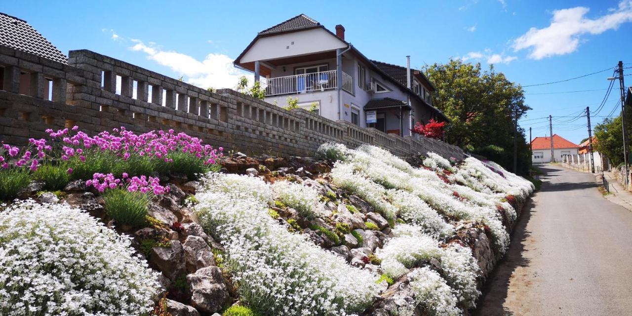 Szabo Vendeghaz Hotel Villány Buitenkant foto